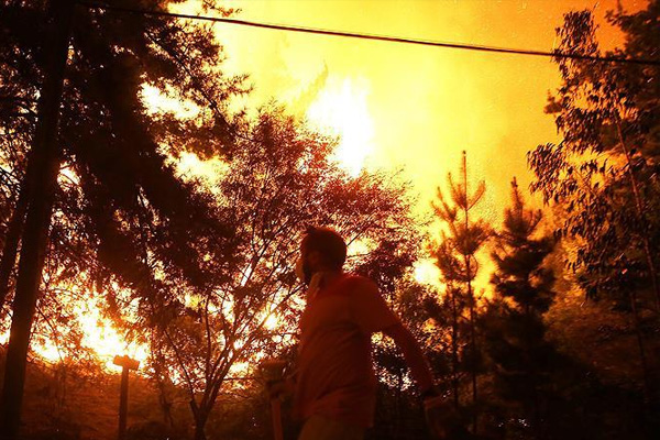 Şili'deki orman yangınları: 6 ölü