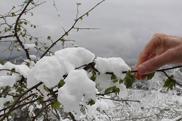 Meteoroloji'den zirai don uyarısı