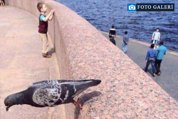 Anlam verilemeyen fotoğraflar