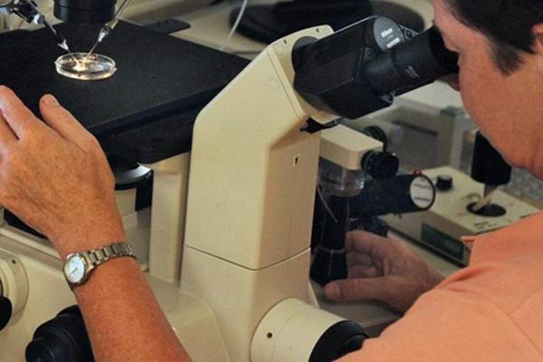 Isıya duyarlı yapay deri geliştirildi