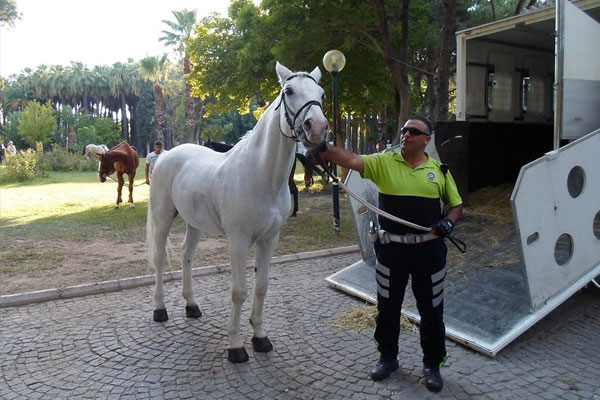 Şehit Sekin ve Can için kampanya