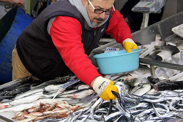 Kar yağışı balık fiyatlarını yükseltti