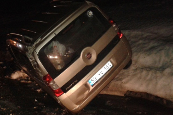 Tilkinin hayatı için kendi canını hiçe saydı