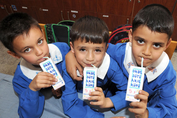 Bu sene 290 milyon kutu süt dağıtılacak