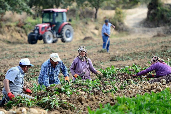 Nüfusun yüzde 8'i köyde yaşıyor