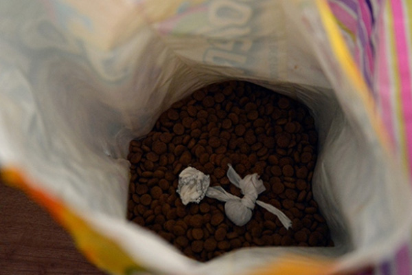 Köpek mamasından uyuşturucu çıktı