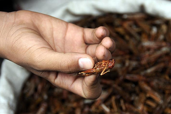 Bolivya'da acil durum ilan edildi