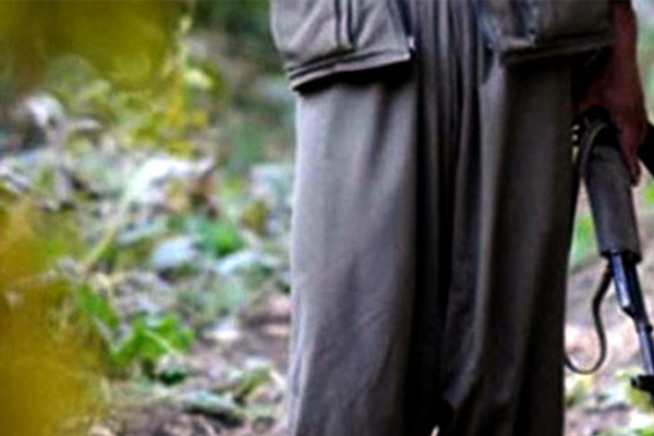 Batman'da bir PKK'lı yakalandı