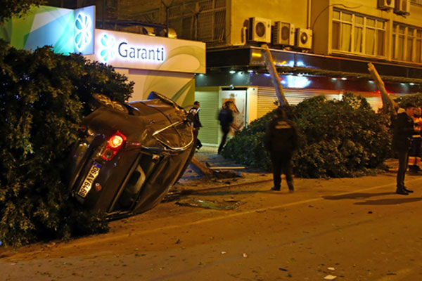 Ağaçları deviren araçtan yara almadan çıktılar