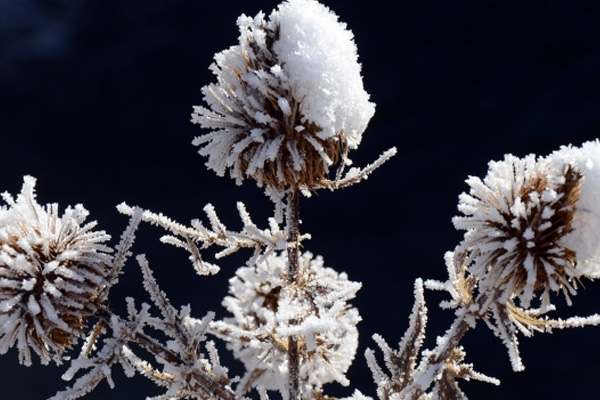 Bu illerde fırtına ve zirai dona dikkat!