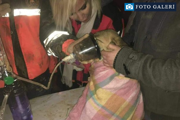 Beykoz'da kuyuya düşen köpek böyle kurtarıldı