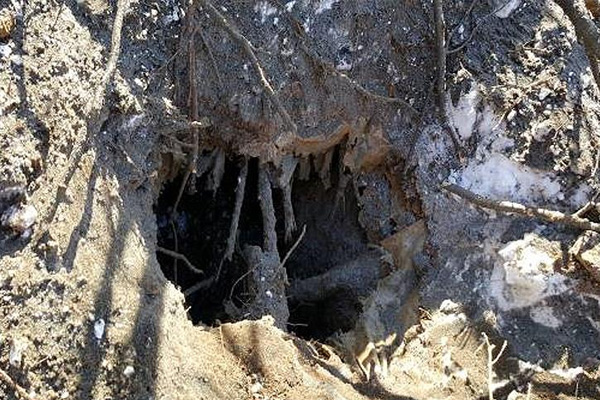 Bingöl'de PKK'nın 2 sığınağı imha edildi
