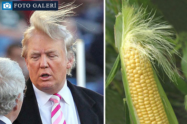 Gelmiş geçmiş kötü pişti fotoğrafları