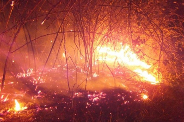 Göksu Deltası'ndaki yangın söndü