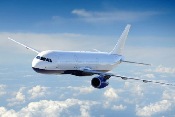 İTO başkanını taşıyan uçak acil iniş yaptı