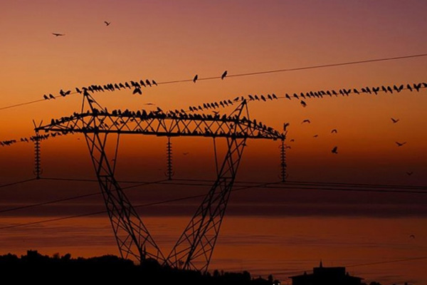 4 ilde elektrik kesintisi