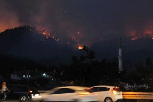 Bursa'da orman yangını