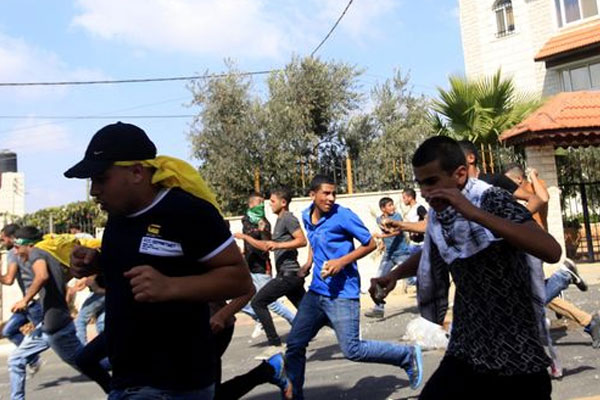 Bebek katili serbest, taş atan ise hapse