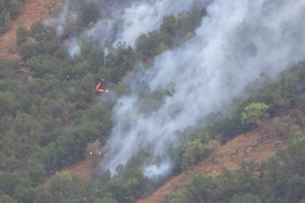 Hakkari’de 5 ayrı yerde orman yangını