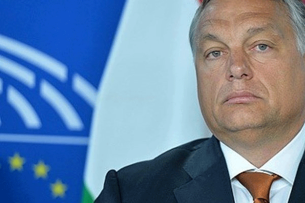 'Ülkemizde fazla Müslüman istemiyoruz'