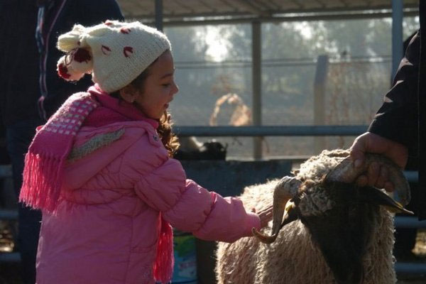 Kimler kurban kesmekle yükümlüdür?
