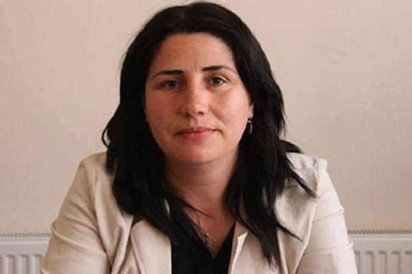 HDP'li vekilin PKK'ya erzak götürdüğü iddiası