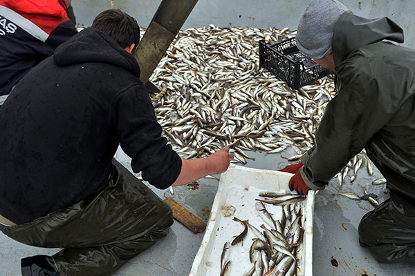Sıcak havalar balıkçıları vurdu