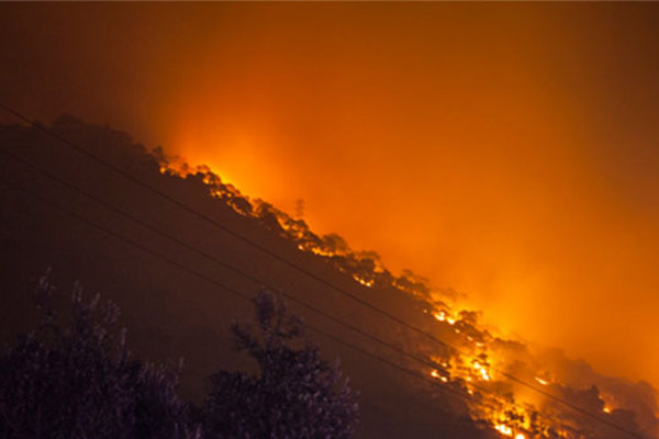 Orman yangınında 3 hektar kül oldu