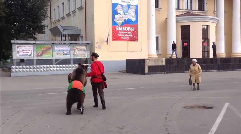 Olmayacak şeyle oy vermeye gitti