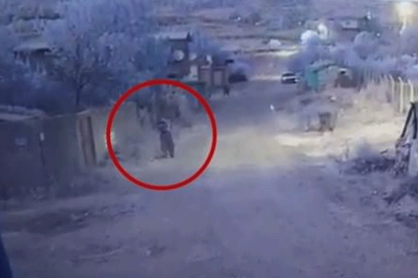 PKK'lı yanlışlıkla kendini öldürdü