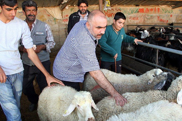 Taksitle kurban almak caiz mi?