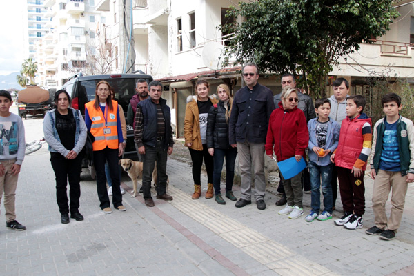 Alanyada kediler zehirlendi