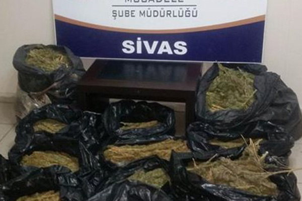 Sivas’ta 44 kilo esrar ele geçirildi