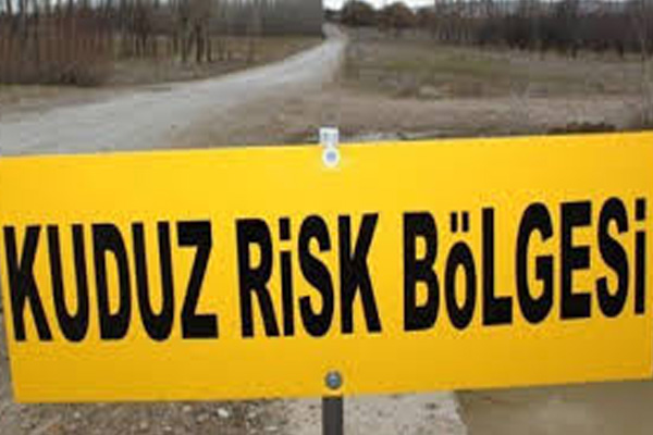 Kayseri'de kuduz karantinası