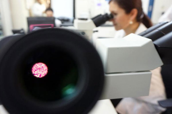 'Dünyanın en eski yaşam izleri' bulundu