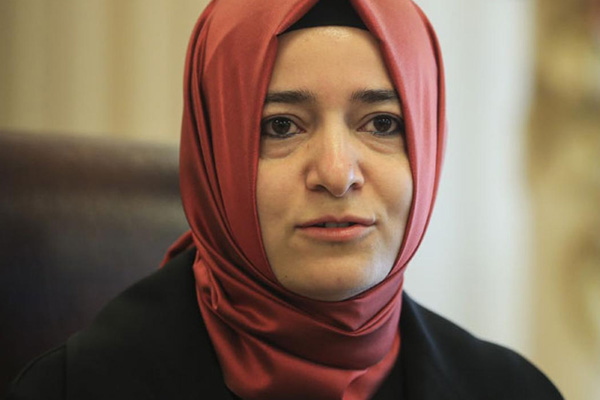 Hollanda!dan ikinci engelleme! O yolu kapattı!