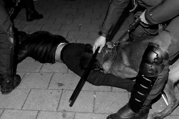 Hollanda'da Türk vatandaşlarına polis köpekli müdahale