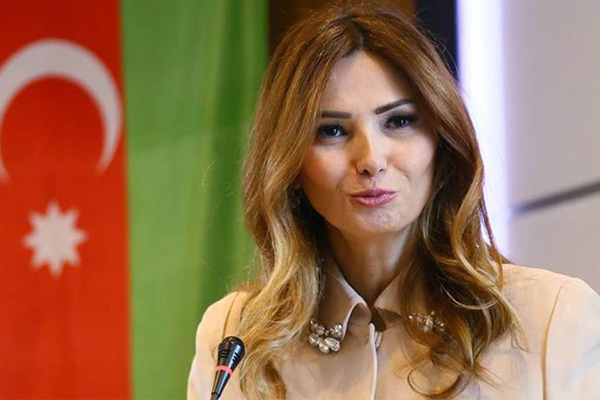 Azerbaycan Milletvekili: Hollanda haddini bilmeli