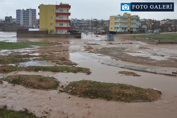 Siirt'te evleri su bastı