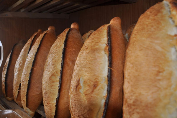 GDO'lu ekmek için soruşturma