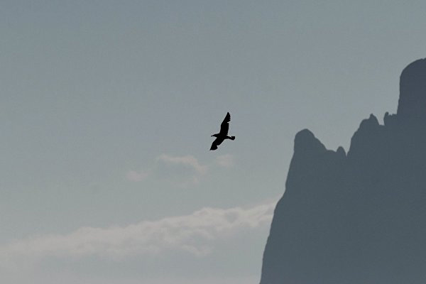 Rus yetkili: Türkiye'den Kırım'la ilgili sinyaller aldık