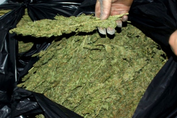 Diyarbakır'da 746 kilo esrar ele geçirildi