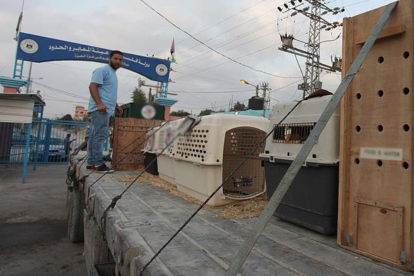 Beyt Hanun'dan İsrail'e geçişler durduruldu