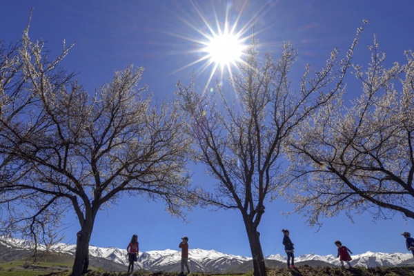 Doğu Anadolu'da sıcaklıklar artıyor