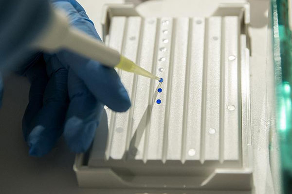 DNA onarımında önemli buluş