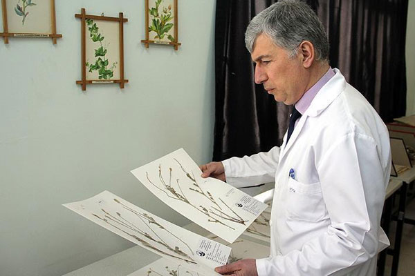 Yeni bulduğu bitkiye 'Mehmetçik' adını verdi