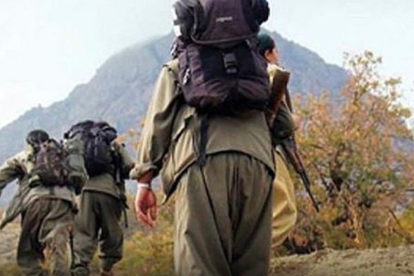 Bitlis’te gri listede bulunan 2 PKK'lı öldürüldü