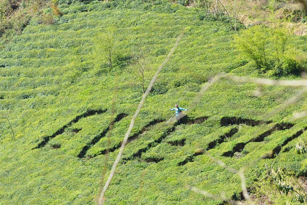 Referandumda kullanacağı oyu çay bahçesine yazdı