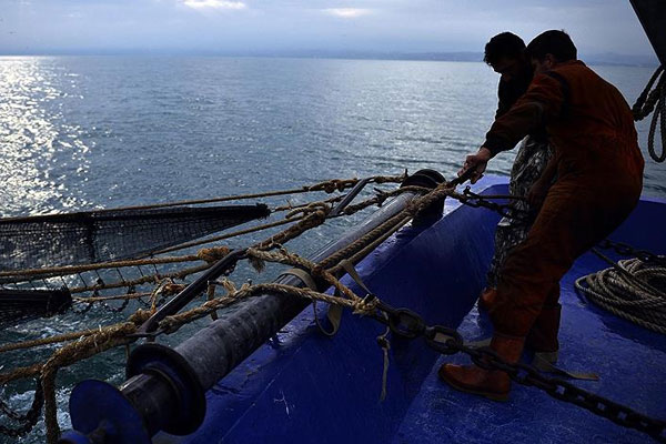 Karadeniz'de hamsi sezonu kapandı