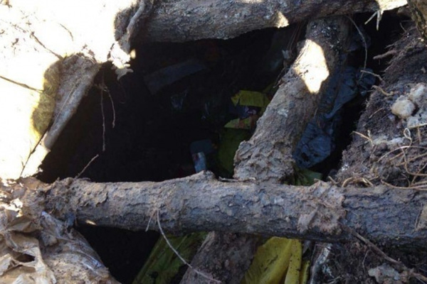 Bitlis'te 6 PKK'lı etkisiz hale getirildi